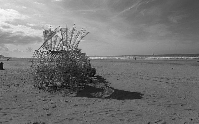 A Strandbeest in its natural habitat, on the Dutch shore