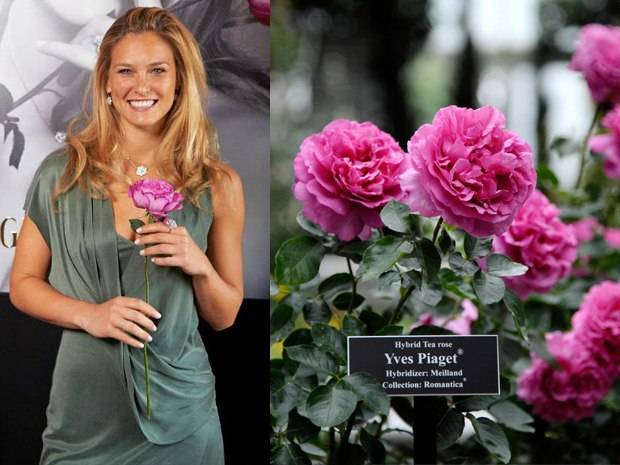 Bar Refaeli Helps Piaget Celebrate Rose Day