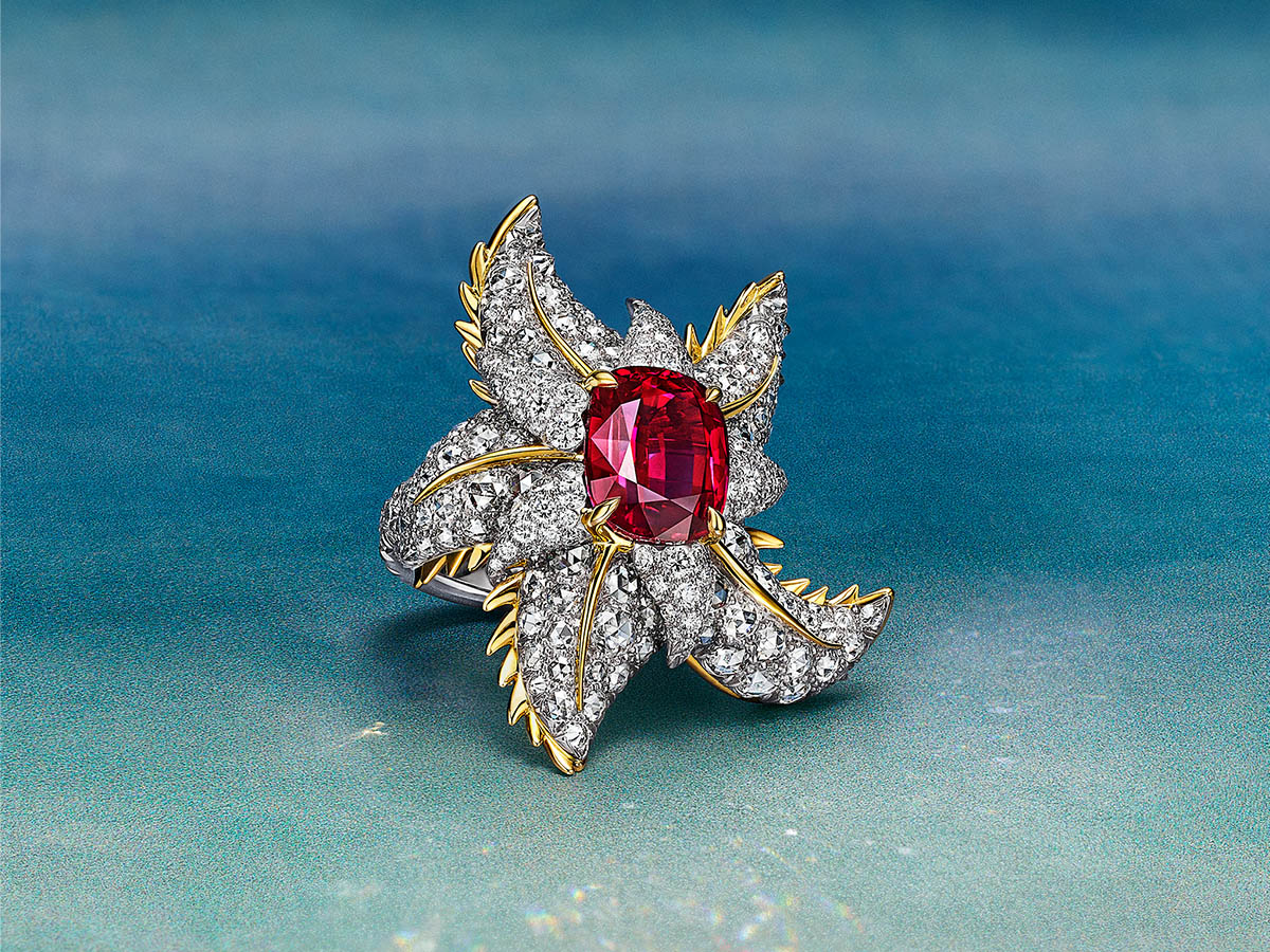 The New Tiffany & Co. Blue Book 2025: Sea of Wonder